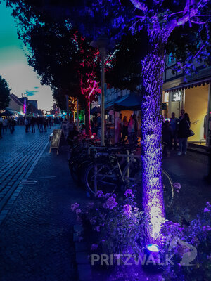 Foto des Albums: Pritzwalker Herbstleuchten 2022 begeisterte