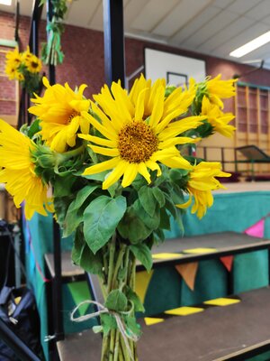 Foto des Albums: Einschulung