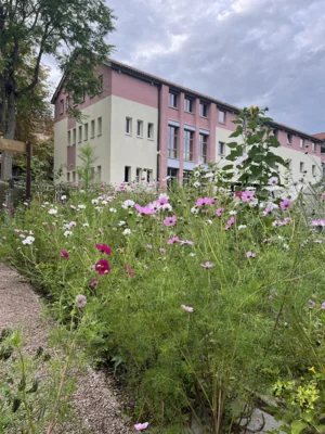 Foto des Albums: Schulgarten