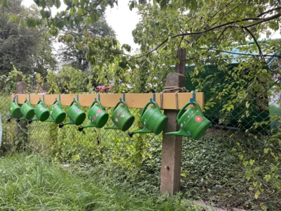 Foto des Albums: Schulgarten
