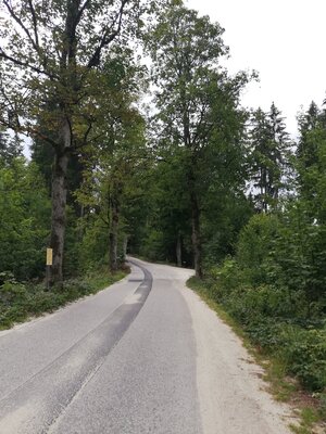 Foto des Albums: Förster Herrmann Erlebnispfad bei Tröstau