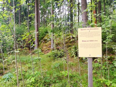 Foto des Albums: Förster Herrmann Erlebnispfad bei Tröstau