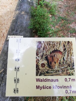 Foto des Albums: Förster Herrmann Erlebnispfad bei Tröstau