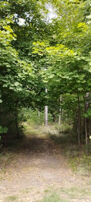 Foto des Albums: Waldbesinnungspfad Resl von Konnersreuth
