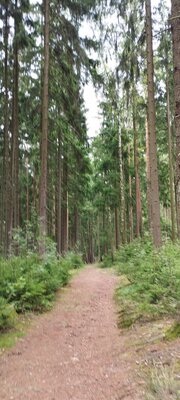Foto des Albums: Waldbesinnungspfad Resl von Konnersreuth