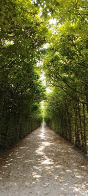 Foto des Albums: Eremitage Bayreuth