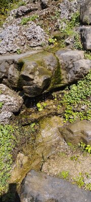Foto des Albums: Eremitage Bayreuth
