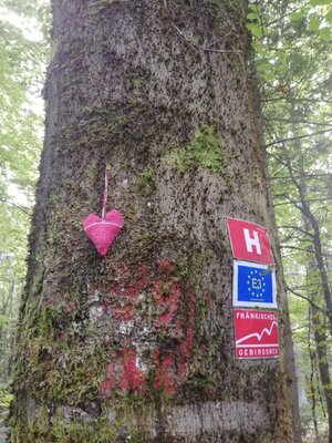 Foto des Albums: Rundwanderung vom SILBERHAUS auf die Platte im Tröstauer Forst