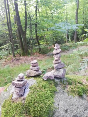 Foto des Albums: Rundwanderung vom SILBERHAUS auf die Platte im Tröstauer Forst