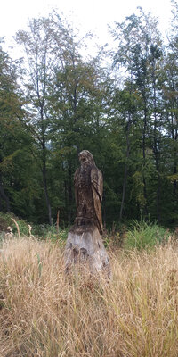 Adler  (Bild vergr&ouml;&szlig;ern)