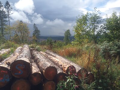 Aussicht  (Bild vergr&ouml;&szlig;ern)
