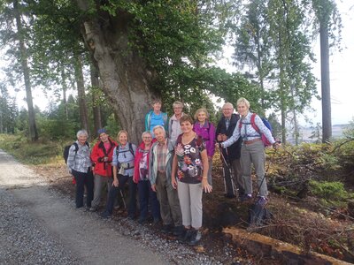 Gruppenbild mit Buche  (Bild vergr&ouml;&szlig;ern)