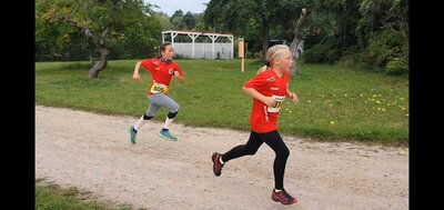 Foto des Albums: Schorfheidelauf Altkünkendorf, 11.09.2022
