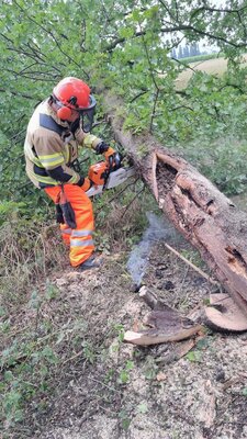 Foto des Albums: Einsatz 39/2022