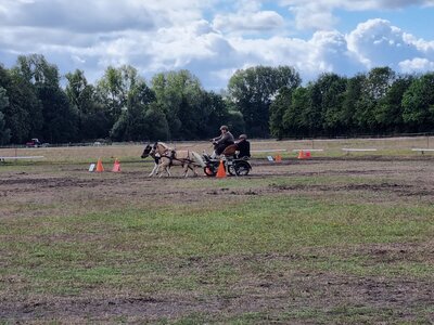 Foto des Albums: Fahrertag 2022