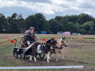 Foto des Albums: Fahrertag 2022