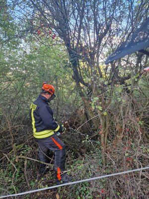 Foto des Albums: Tier in Not - Auf dem Falkenberg