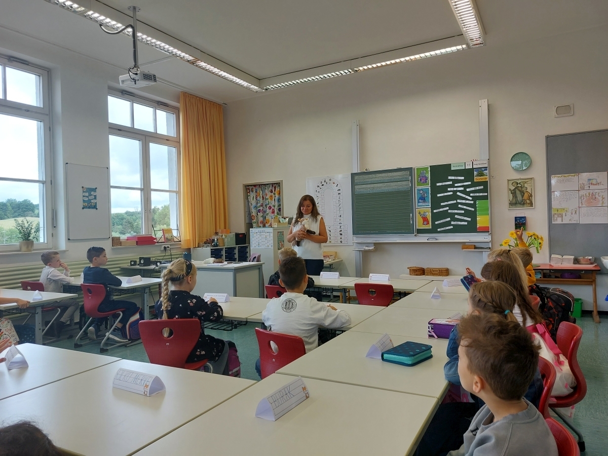 Bild der Galerie