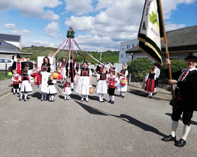 Foto des Albums: Festumzug Winzerfest in Auggen