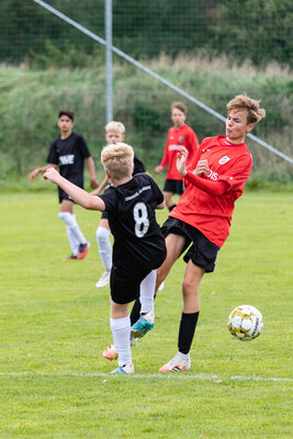 Foto des Albums: C Junioren