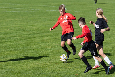 Foto des Albums: C Junioren