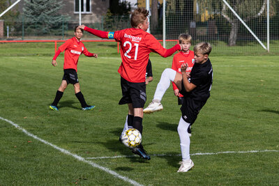 Foto des Albums: C Junioren