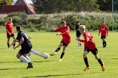 Foto des Albums: C Junioren