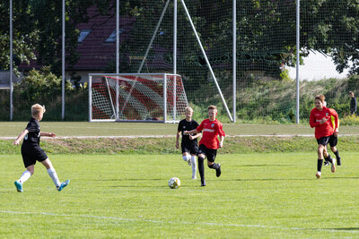 Foto des Albums: C Junioren