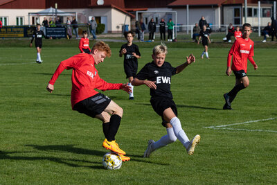 Foto des Albums: C Junioren