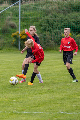 Foto des Albums: C Junioren