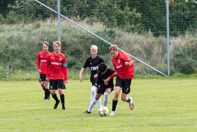 Foto des Albums: C Junioren