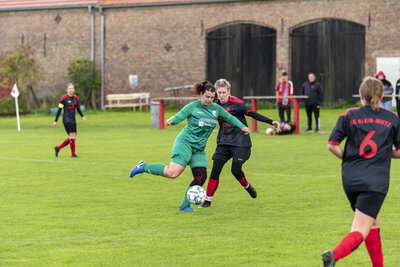 Foto des Albums: Ladies in Klein Mutz