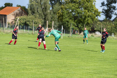 Foto des Albums: Ladies in Klein Mutz