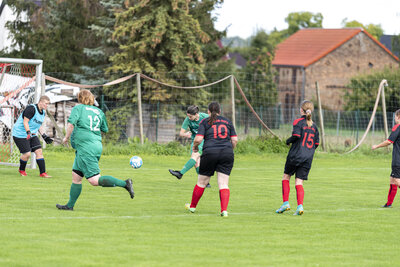 Foto des Albums: Ladies in Klein Mutz