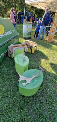 Foto des Albums: 4. Regionales Kinder- und Familienfest der VG Bad Tennstedt