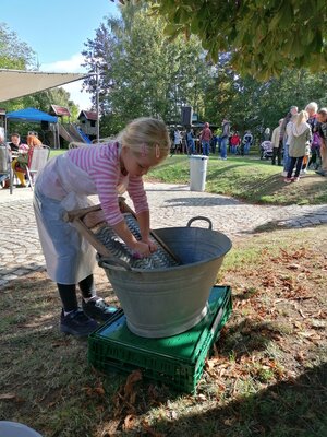 Foto des Albums: 4. Regionales Kinder- und Familienfest der VG Bad Tennstedt