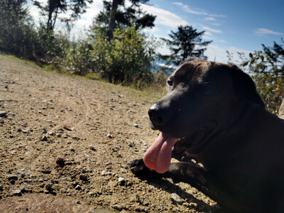 Foto des Albums: 2022_09_Wandertag_Staffelberg