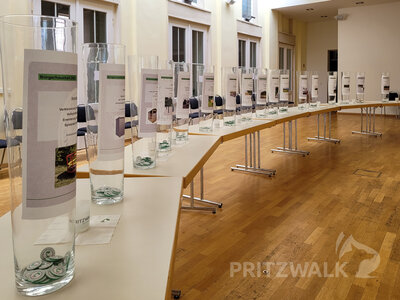 Foto des Albums: Tag der Abstimmung zum Bürgerhaushalt und Kinder-Familientag