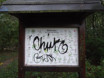 Foto des Albums: Graffitischmiererei am Naturlehrpfad (27. 09. 2022)
