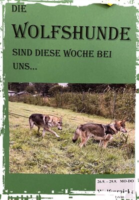 Foto des Albums: Wolfshunde zu Besuch in der Grundschule (27. 09. 2022)