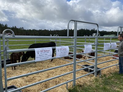 Foto des Albums: 1. Kreiserntefest in Muckwar 2022