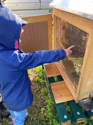 Foto des Albums: 1. Kreiserntefest in Muckwar 2022