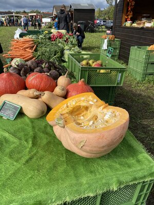 Foto des Albums: 1. Kreiserntefest in Muckwar 2022