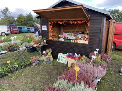 Foto des Albums: 1. Kreiserntefest in Muckwar 2022