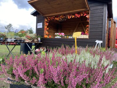 Foto des Albums: 1. Kreiserntefest in Muckwar 2022