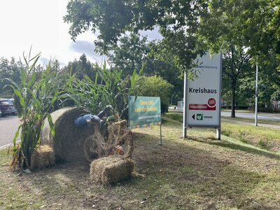 Foto des Albums: Erntedank 2022