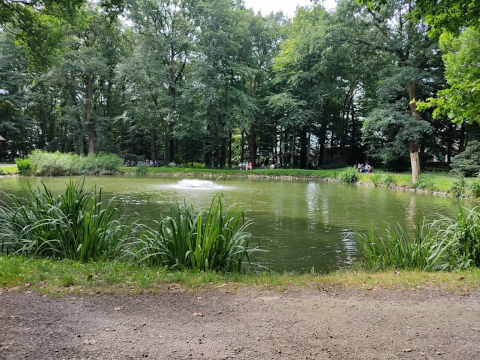 Bild: Schöner Park