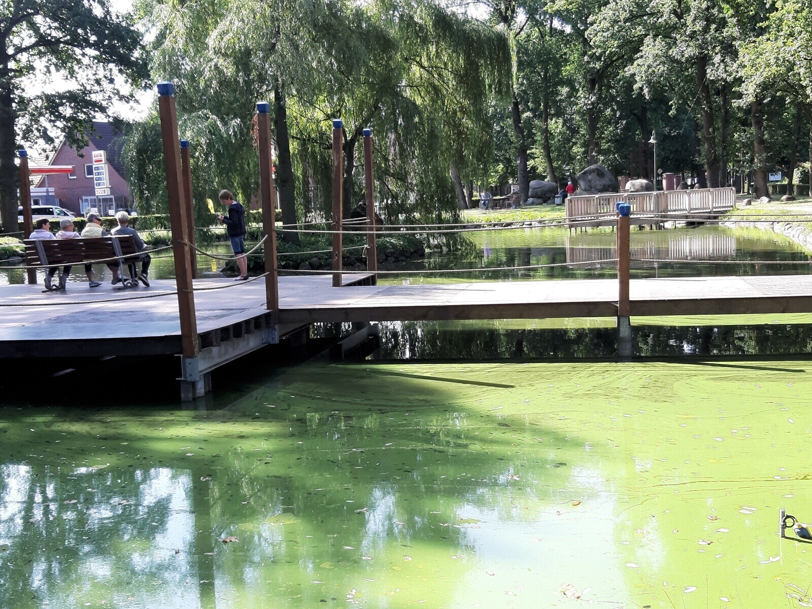 Bild: Schöner Park 2