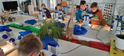 Foto des Albums: Wandertag Klasse 3 (neue Landschaft Ronneburg)