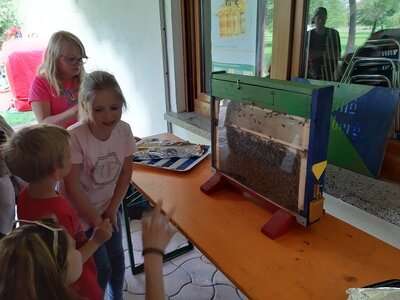 Foto des Albums: Unser Schulfest!